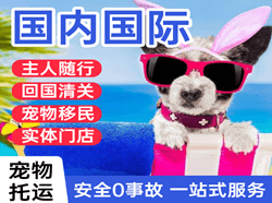呼和浩特白塔航空快运国际宠物托运 【国